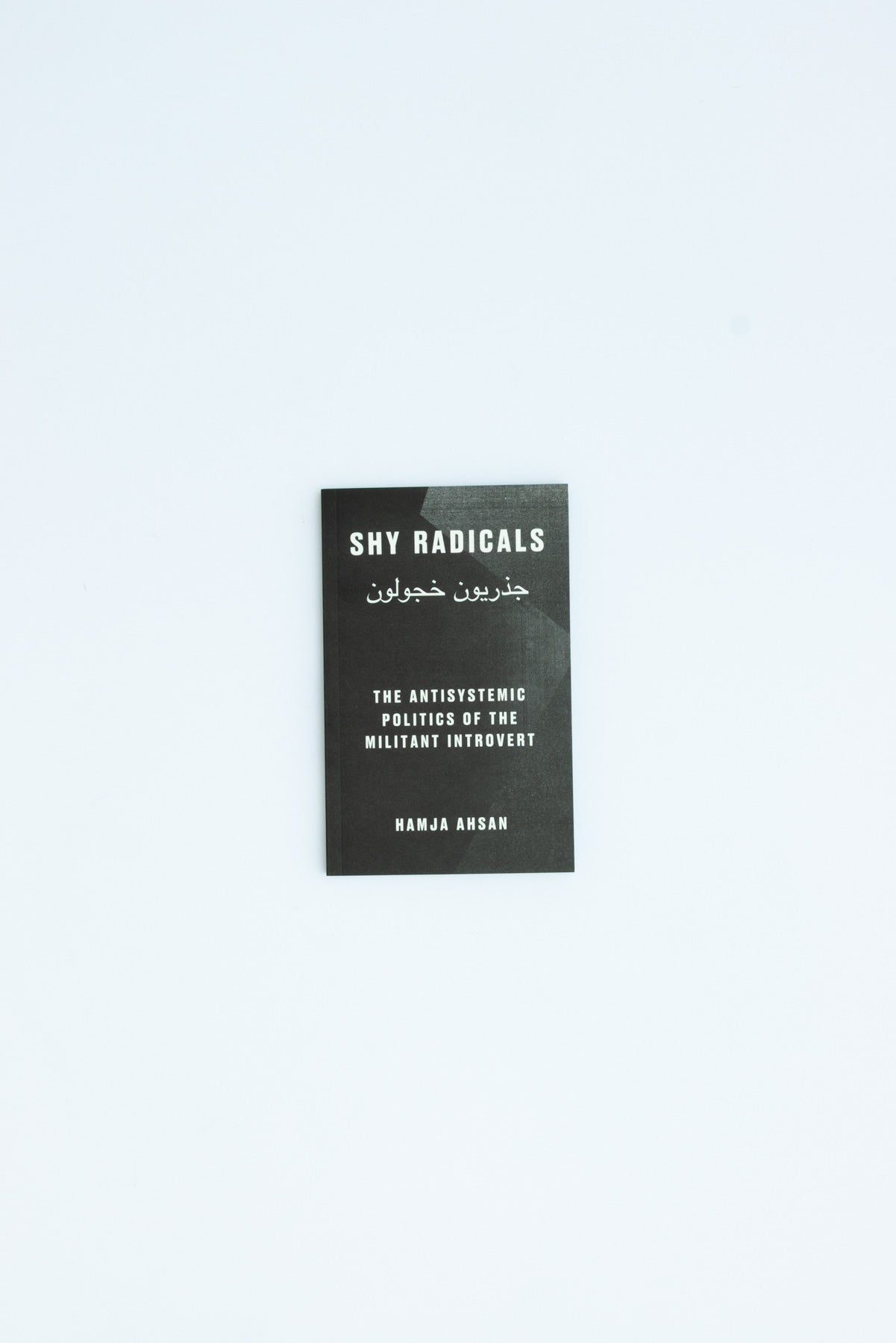 Shy Radicals: The Antisystemic Politics of the Militant Introvert - Hamja Ahsan