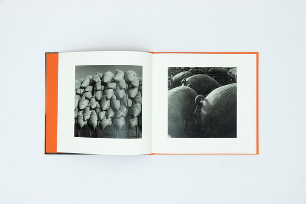 A Long Interview with Kozo Miyoshi - Kozo Miyoshi