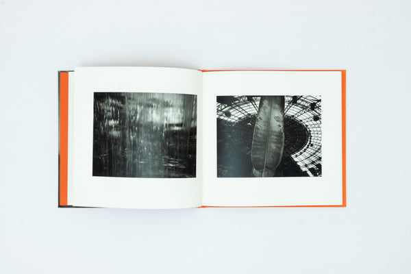 A Long Interview with Kozo Miyoshi - Kozo Miyoshi