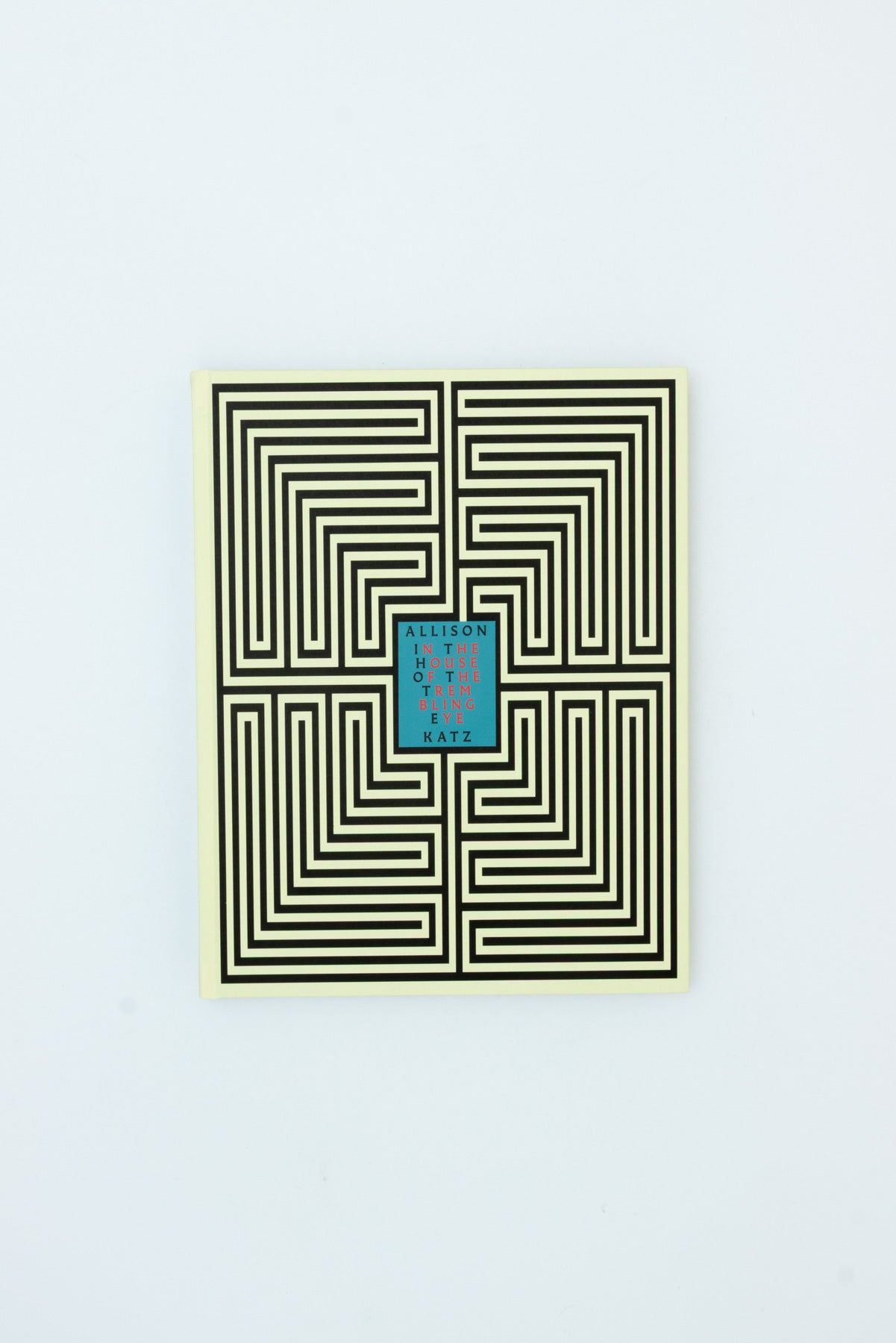 In the House of the Trembling Eye - Allison Katz