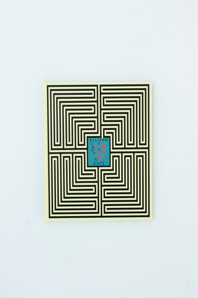 In the House of the Trembling Eye - Allison Katz