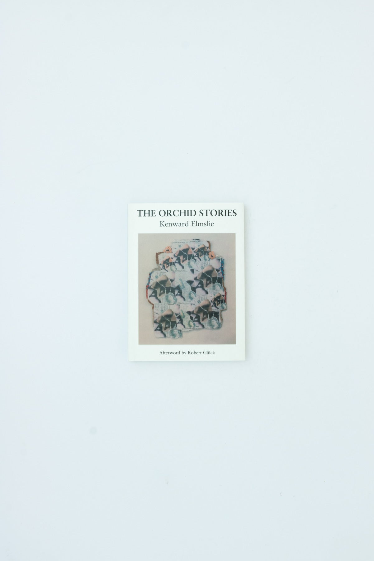 The Orchid Stories - Kenward Elmslie