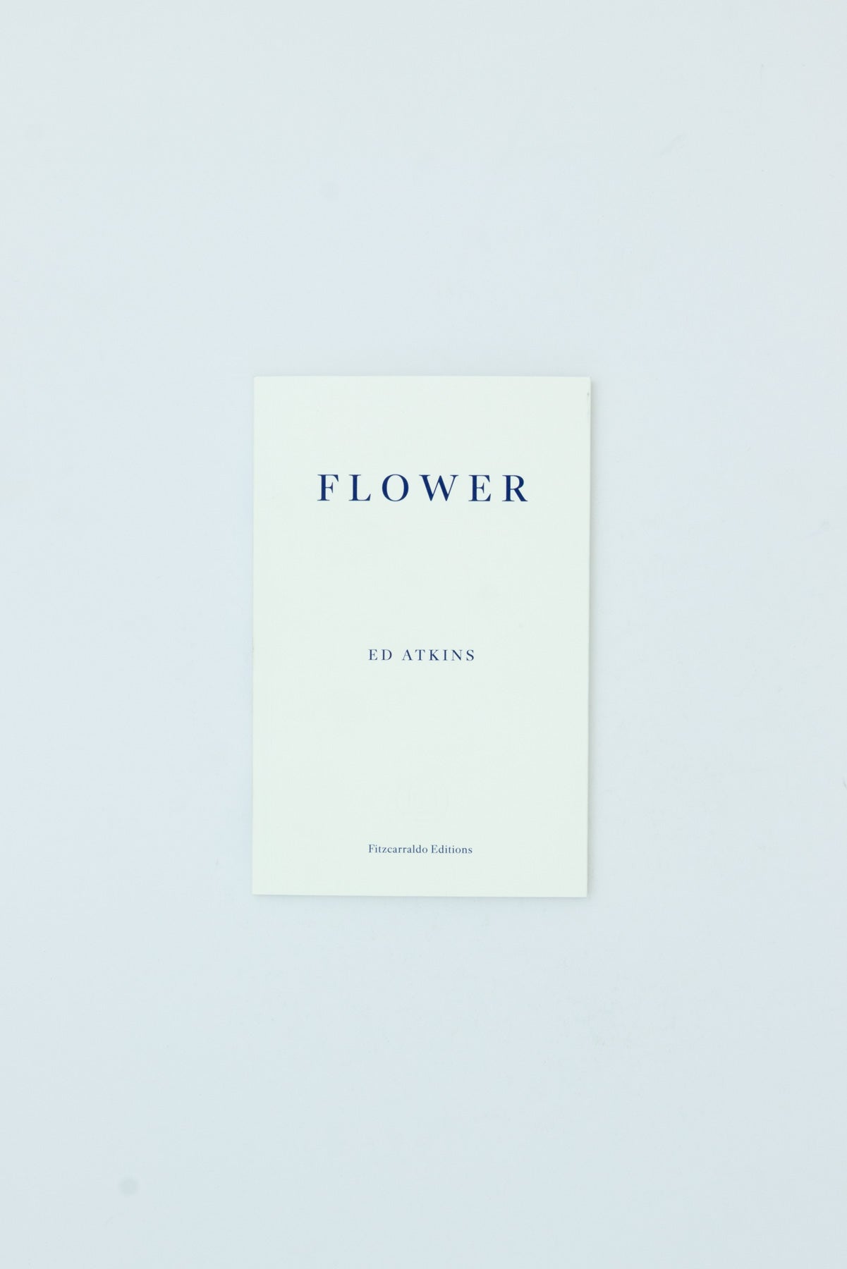 Flower - Ed Atkins