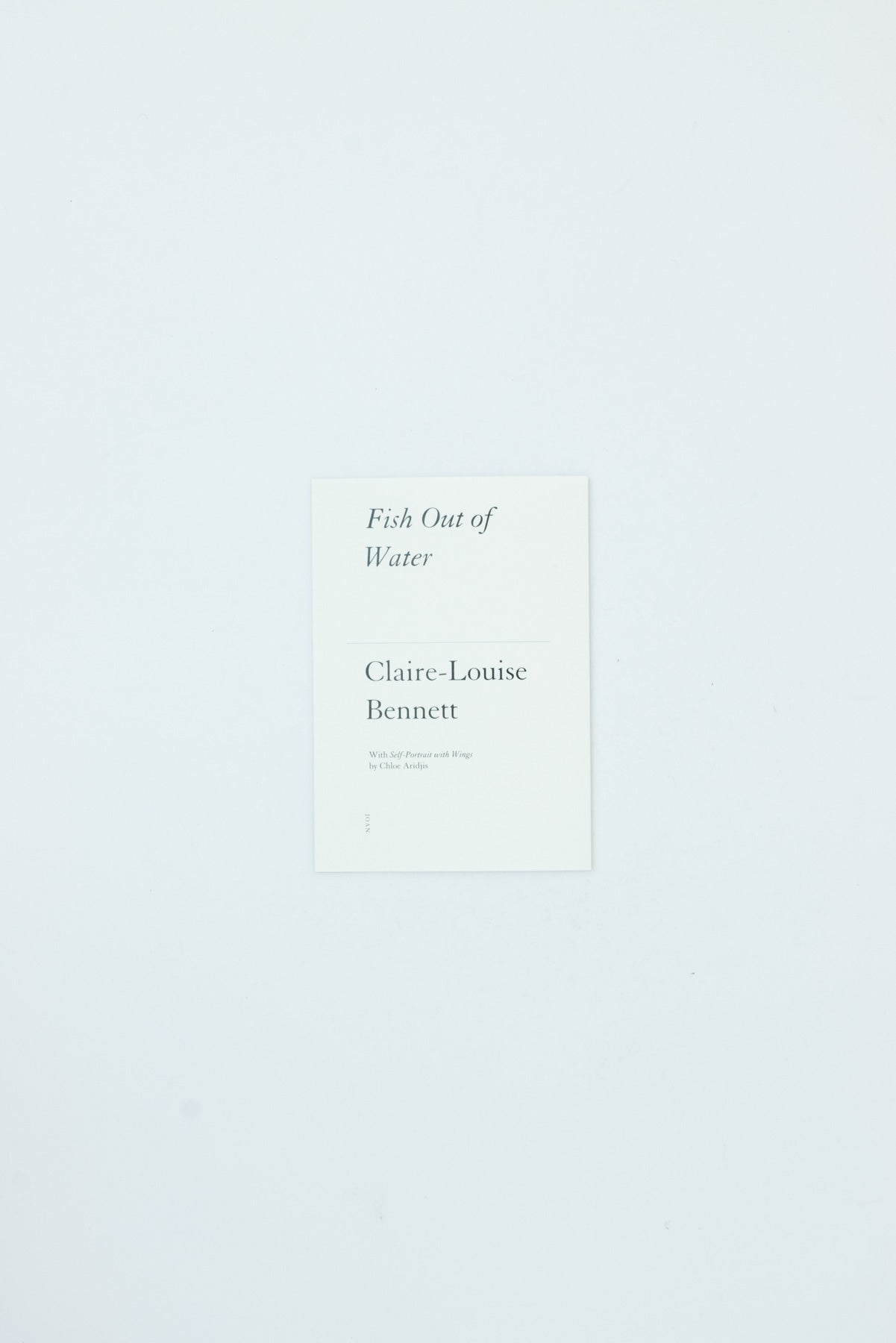 Fish Out of Water - Claire-Louise Bennett