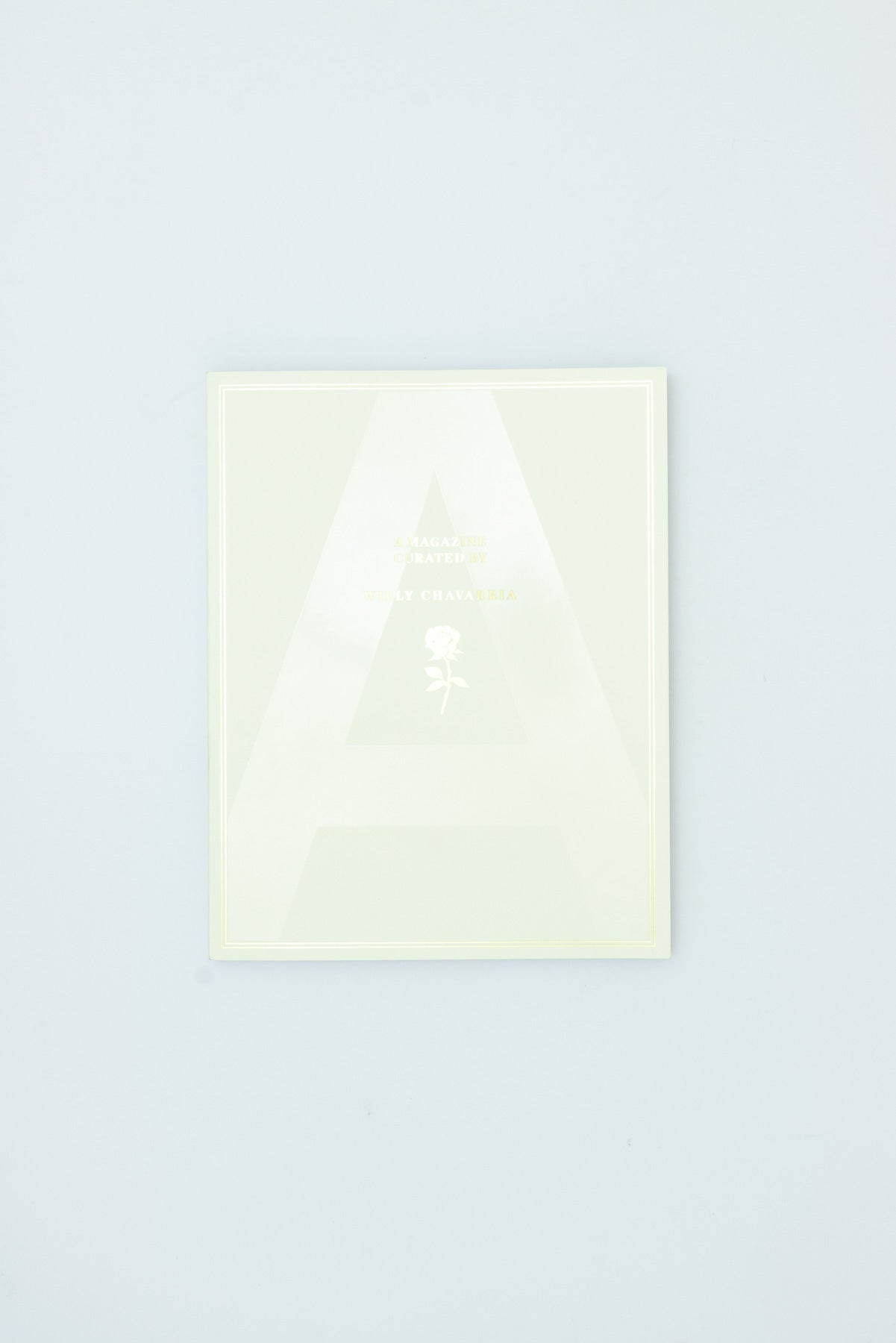 A Magazine 28 Curated by Willy Chavarria