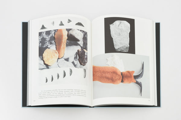 Prehistoric Collections - Camille Henrot