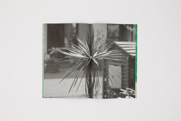 (Talker) Gustav Metzger