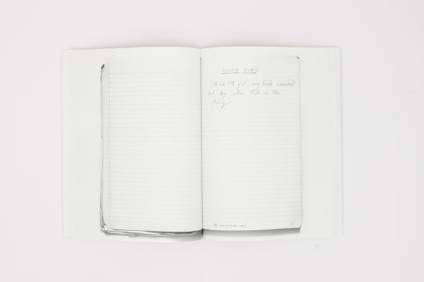 David Robilliard Notebooks 1983–1988