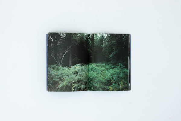 Even as a Shadow, Even as a Dream - Chloé Zhao, Jessie Buckley, Agata Grzybowska