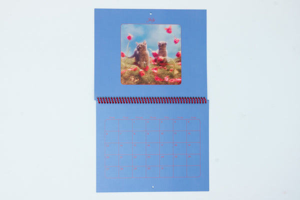 Pussycats Calendar 2026