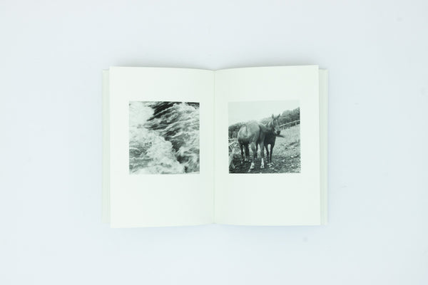 The Shabbiness of Beauty - Moyra Davey & Peter Hujar