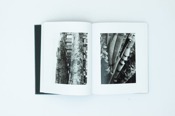 Distribution - Daniel Shea