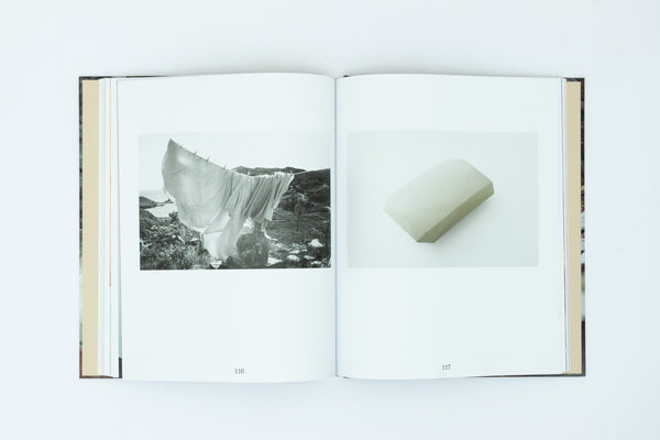 The Truth and Untruth of Stones - Lucy Skaer