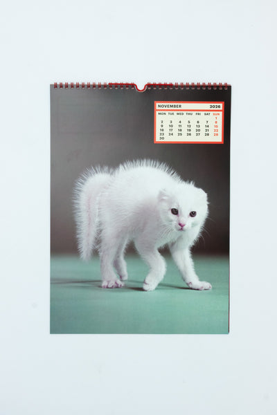 TOILETPAPER CALENDAR 2026