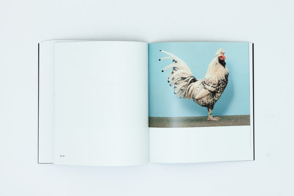 Christopher Williams. Photographs.