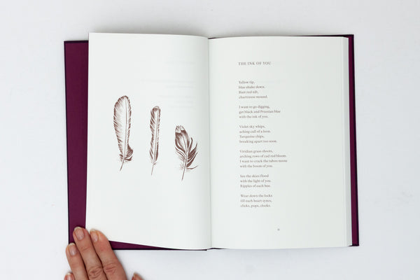 I Saw the Sun - Rainer Judd