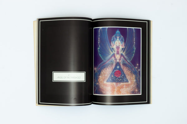 Celestial Visitations - Gilber Williams