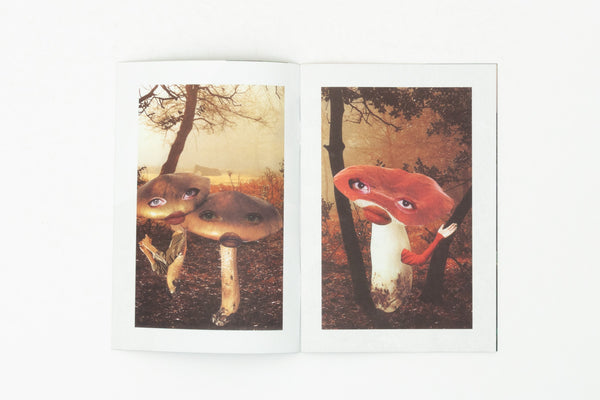 Hybrids and Mushroom Friends - Seana Gavin