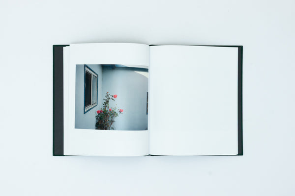 Lost Coast - Curran Hatleberg