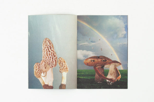 Hybrids and Mushroom Friends - Seana Gavin