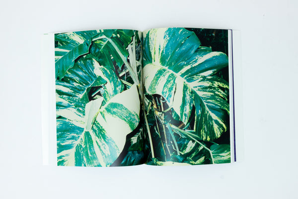 Array - Jack Pierson