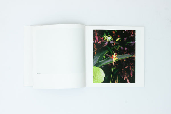 Bounty - Steve McQueen