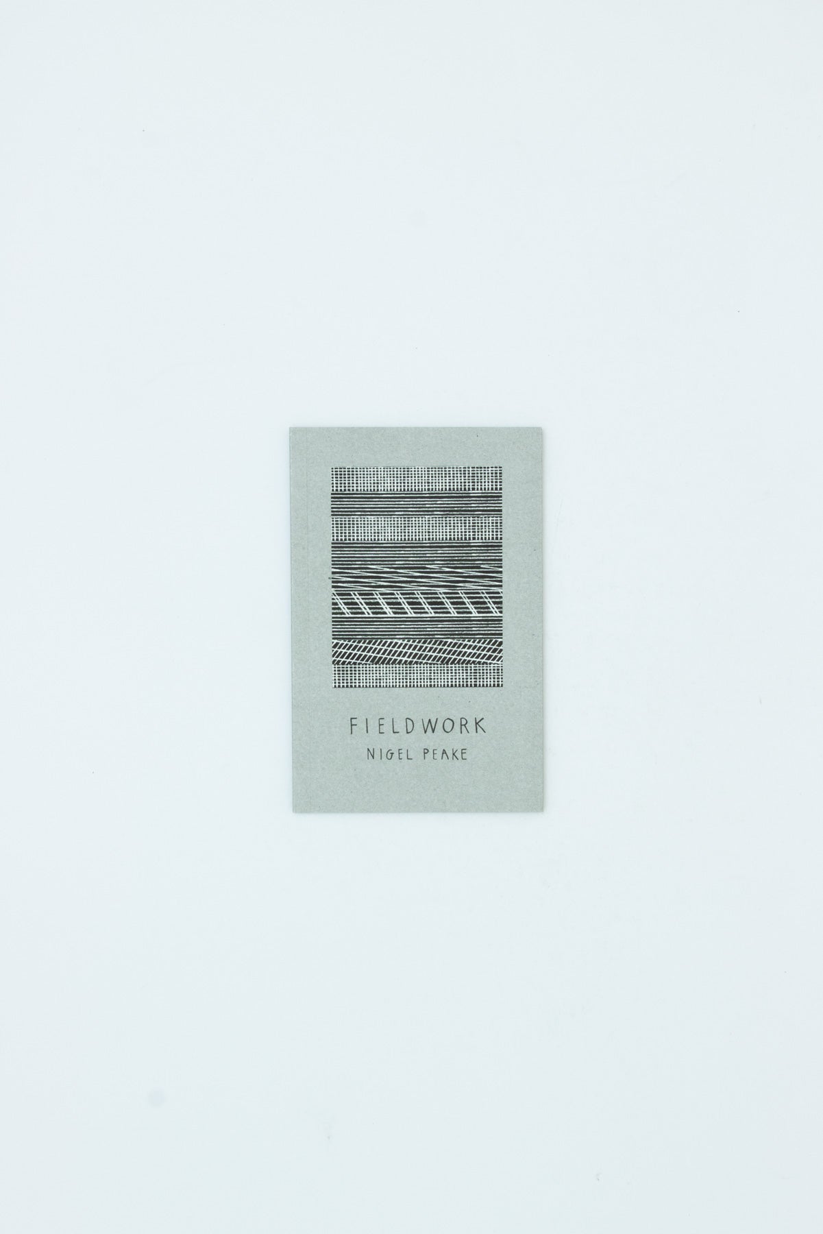 Fieldwork - Nigel Peake