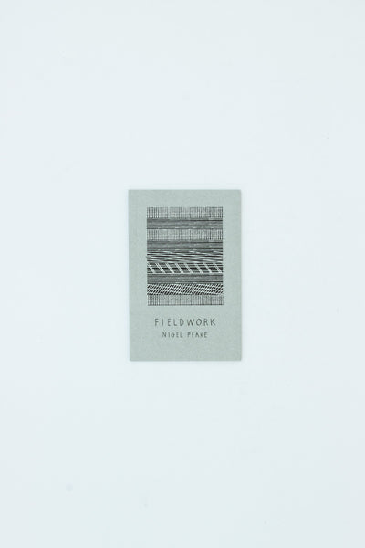 Fieldwork - Nigel Peake