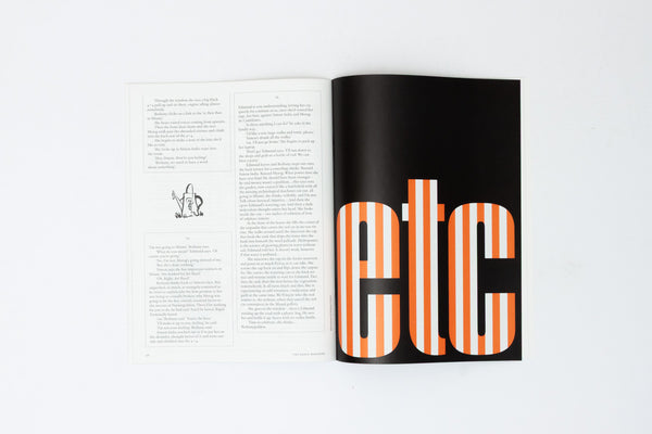 The Fence. Issue 29