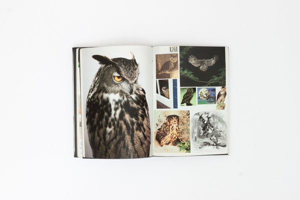 Animal Books for Jaap, Zeno, Anna, Julian & Luca - Lous Martens