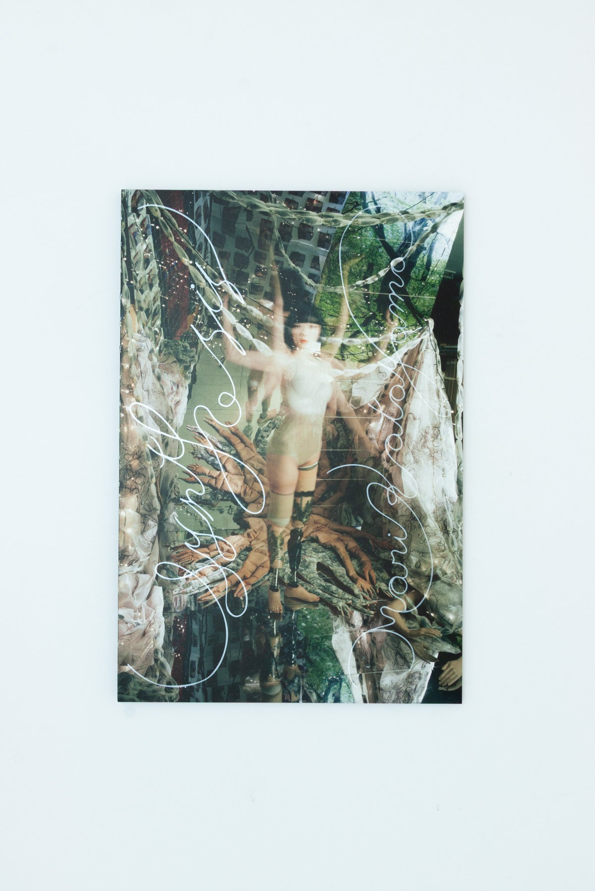 Synthesis - Mari Katayama