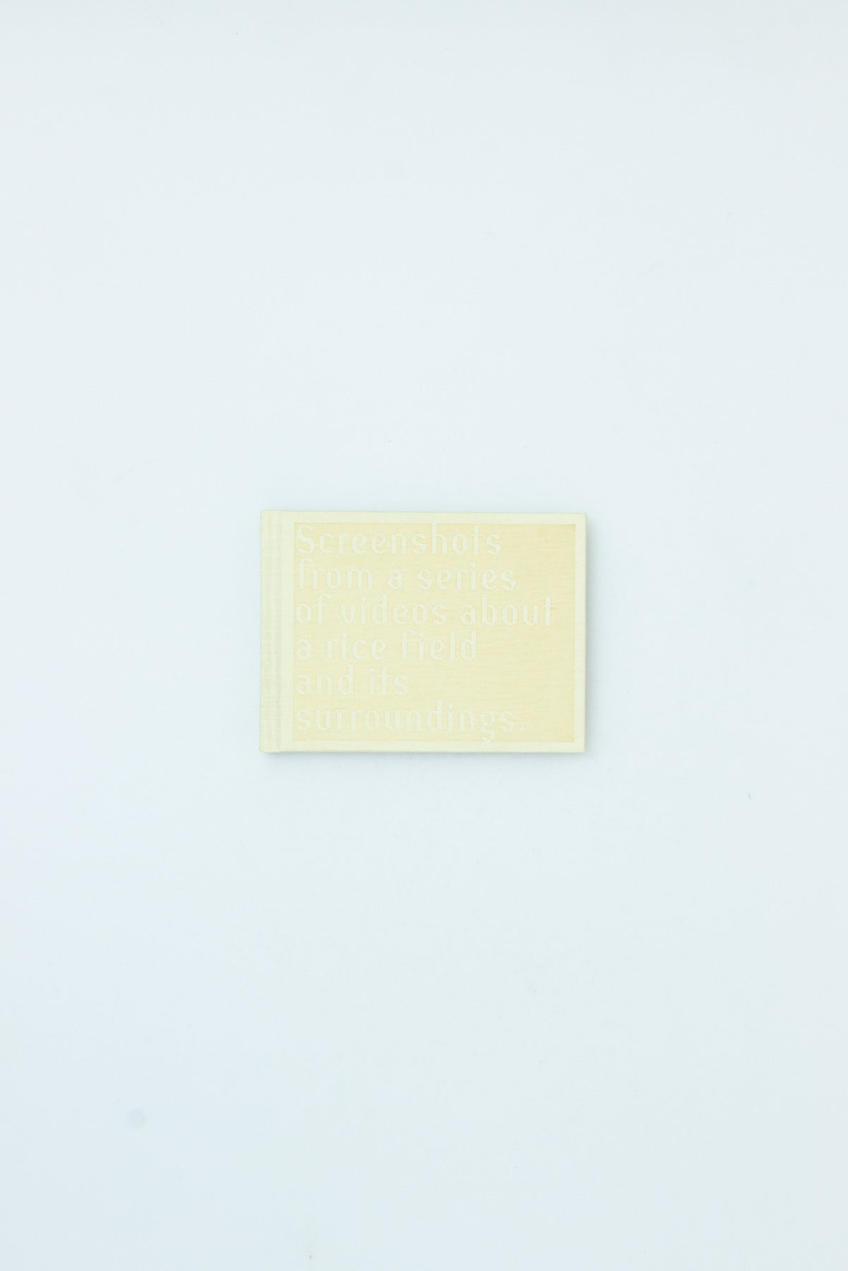 Screenshots of a rice field and its surrounds - Cintia Tortosa Santisteban