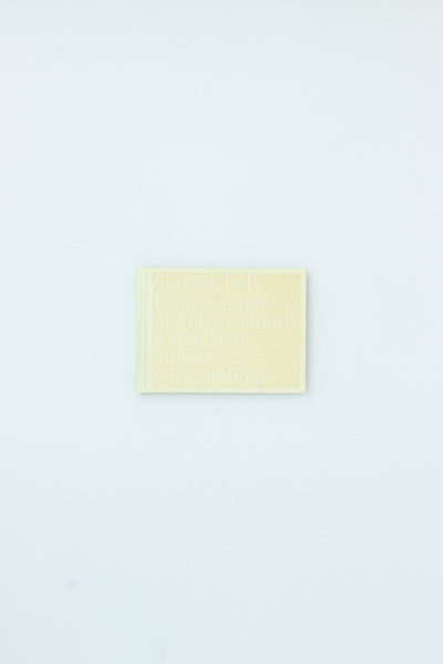 Screenshots of a rice field and its surrounds - Cintia Tortosa Santisteban