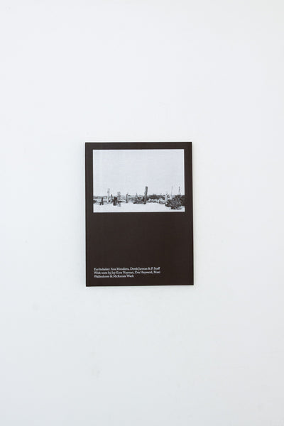 Earthshaker: Ana Mendieta, Derek Jarman & P. Staff