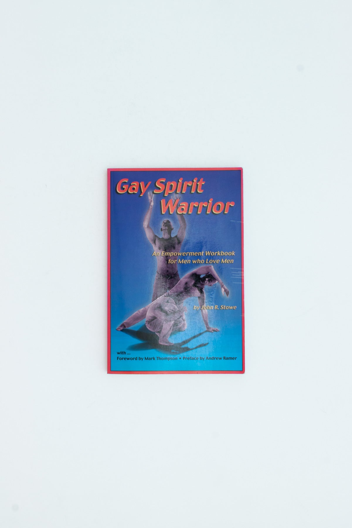 Gay Spirit Warrior: An Empowerment Workbook for Men Who Love Men.