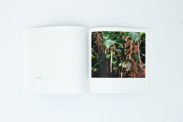 Bounty - Steve McQueen