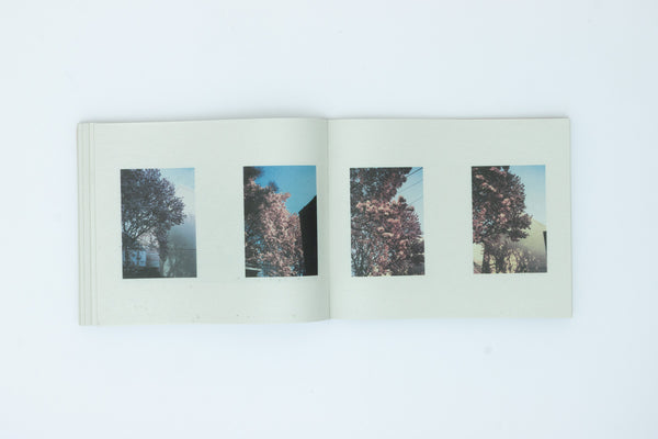 Walden; Or, Life in the Woods, Archive 1993-2024, Vol. 02. - Peter Funch