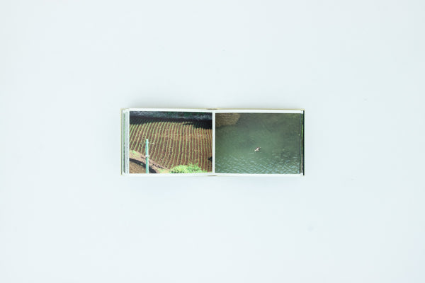 Screenshots of a rice field and its surrounds - Cintia Tortosa Santisteban