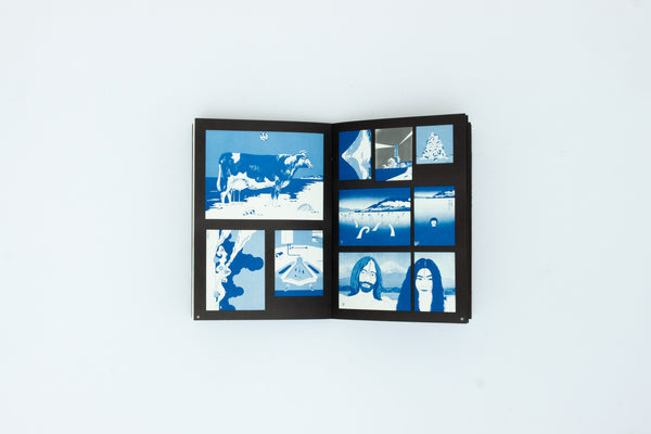 The Complete Tadanori Yokoo