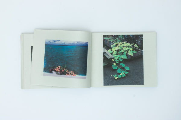 Walden; Or, Life in the Woods, Archive 1993-2024, Vol. 02. - Peter Funch