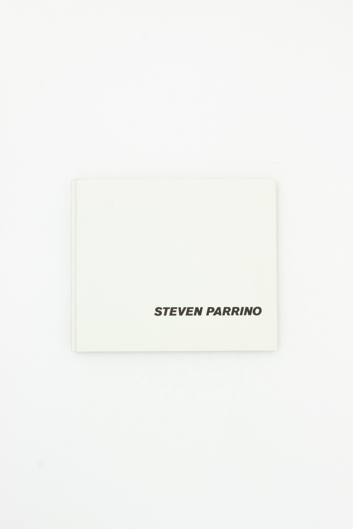 Steven Parrino: Nihilism Is Love.