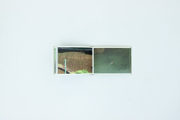 Screenshots of a rice field and its surrounds - Cintia Tortosa Santisteban