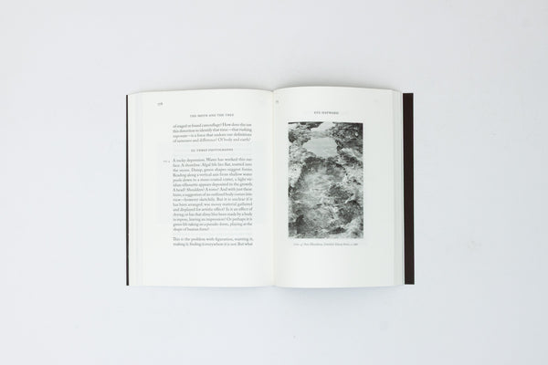 Earthshaker: Ana Mendieta, Derek Jarman & P. Staff