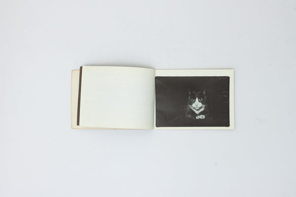 Ernie: A Photographer's Memoir - Tony Mendoza