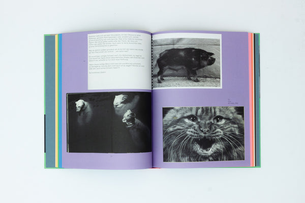 L is for Look. Children's Photobooks - Anne Lacoste & Rose Durr