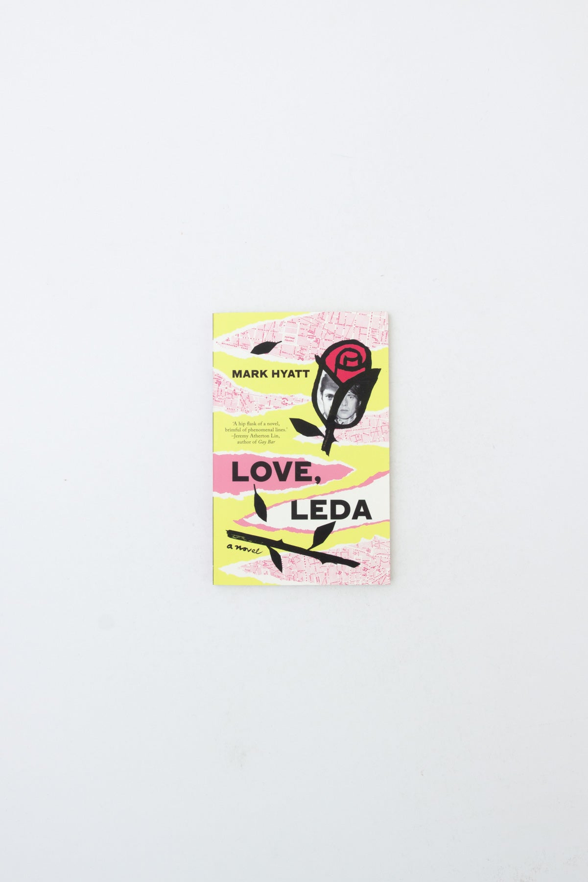 Love, Leda - Mark Hyatt