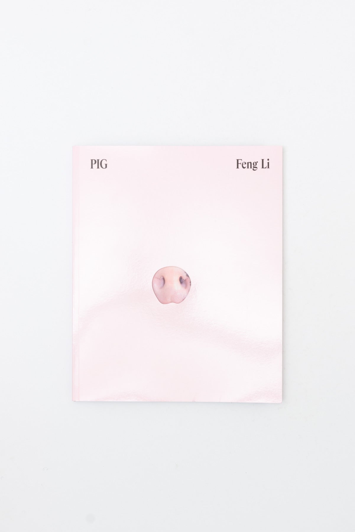 Pig - Feng Li
