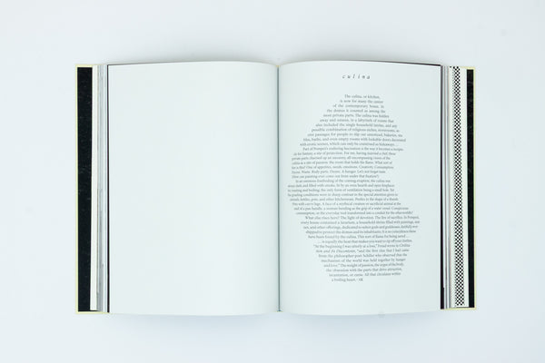 In the House of the Trembling Eye - Allison Katz