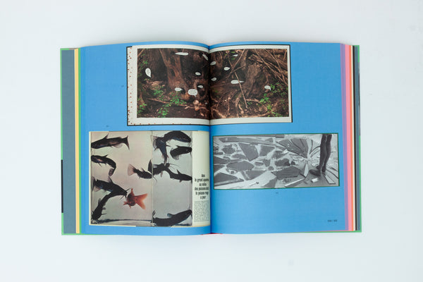 L is for Look. Children's Photobooks - Anne Lacoste & Rose Durr