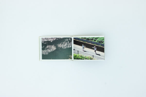 Screenshots of a rice field and its surrounds - Cintia Tortosa Santisteban